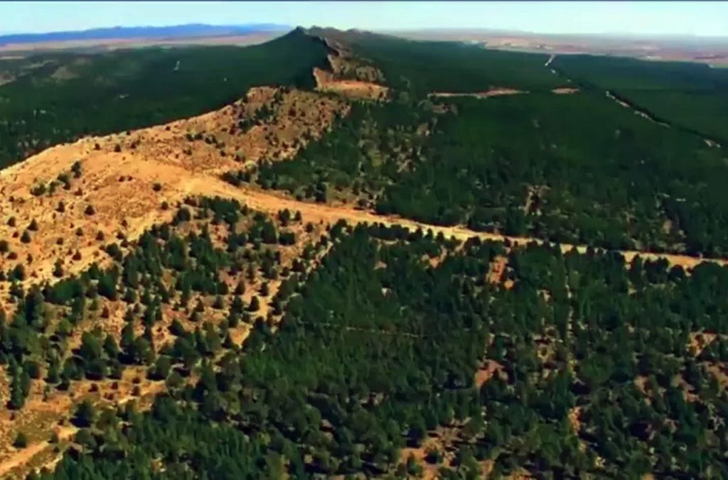 Projet de relance du barrage vert : Enjeux économiques et écologiques