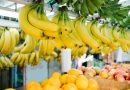 Prix de la banane en Algérie : Ne devrait pas dépasser 200 DA d'après ZITOUNI