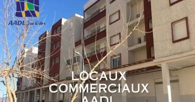 Vente de gré à gré des locaux commerciaux AADL : Lancement de l'opération d'inscription