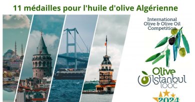 11 Médailles pour l’huile d’olive Algérienne qui a brillé à Istanbul
