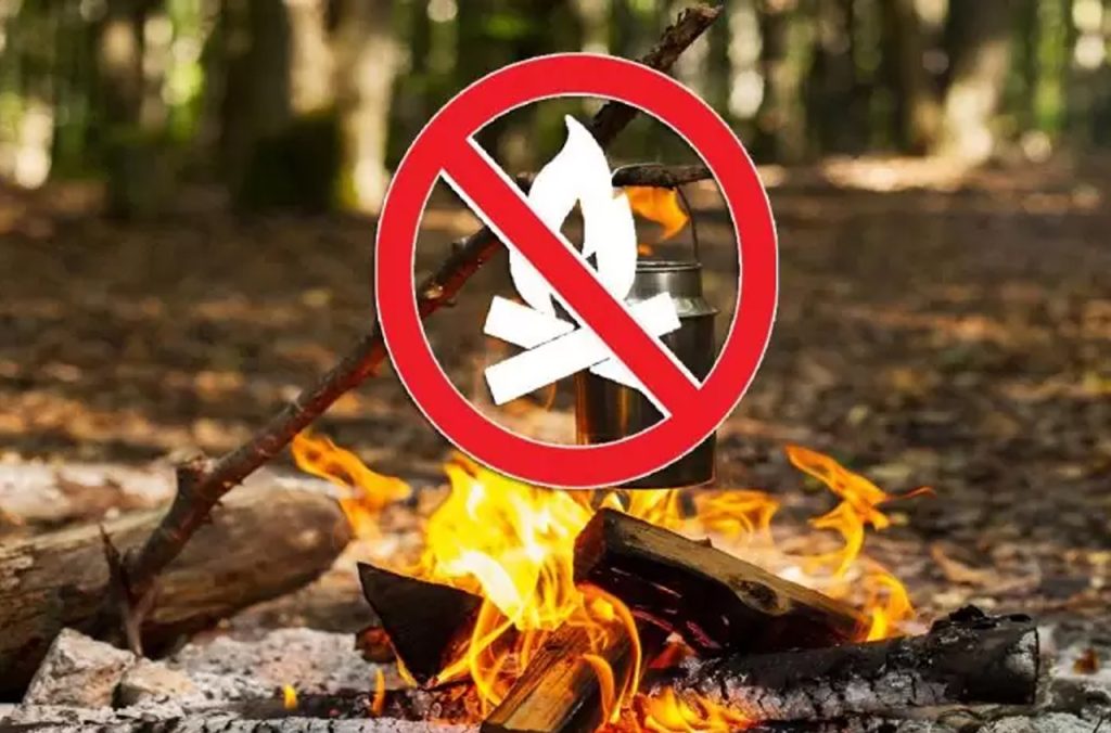 Interdiction des barbecues et du camping dans les forêts d’Alger jusqu’au 31 octobre