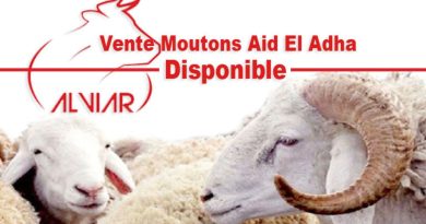 Alviar : Opération de vente de moutons pour l'Aid El Adha à partir de 59.000 Da