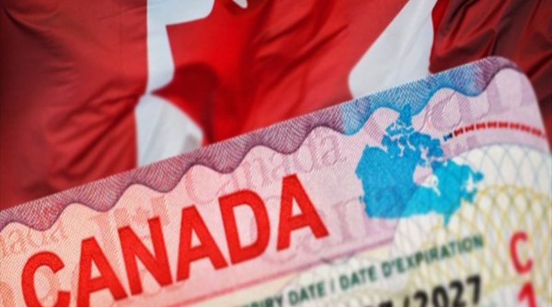 Visa pour le Canada : Temps de traitement réduit à 28 jours pour les Algériens en 2024