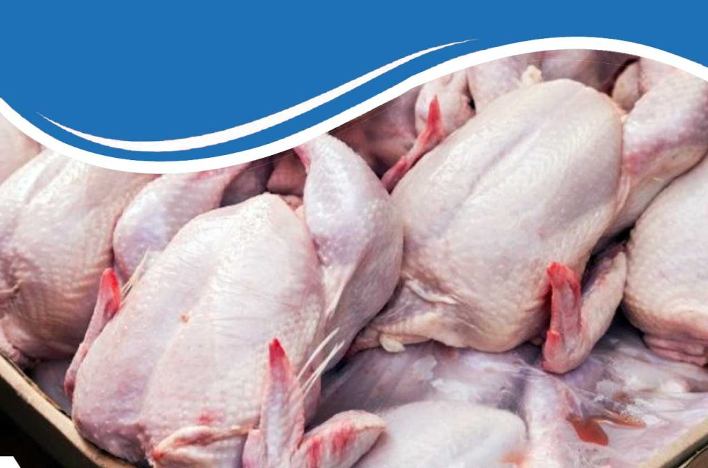 Ramadan 2025 : Le prix ​​du poulet en Algérie ne dépassera pas 300 DZ