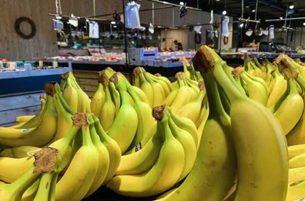La banane à 260 DA à partir de ce dimanche : pourquoi le prix de la banane change ?