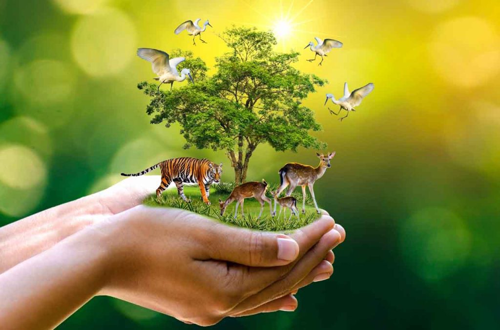Jour de la Terre 2025 : origine de l'événement et à quoi sert cette journée ?