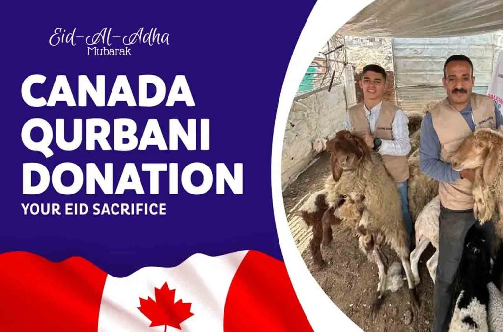 Aïd El Kebir 2025 au Québec : où faire son Qurbani