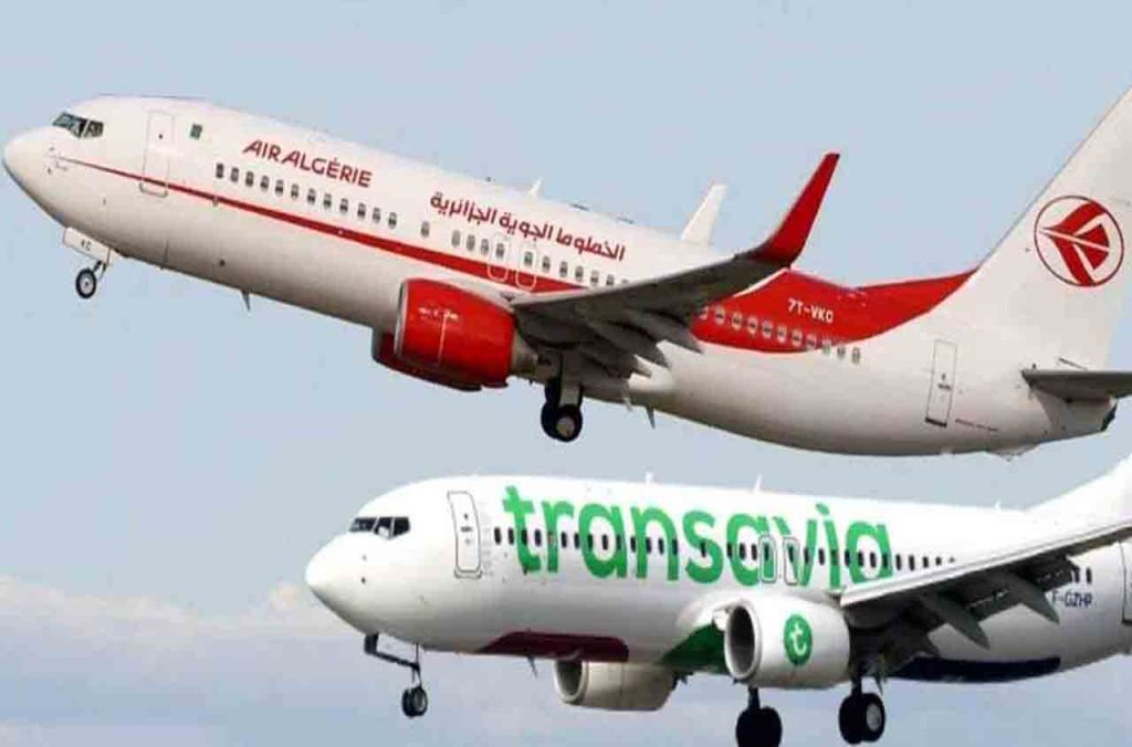 Air Algérie ou Transavia : qui choisir pour voyager entre la France et l'Algérie en 2025 ?